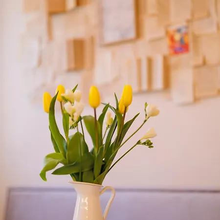 Stunning 2br Old View Apartman