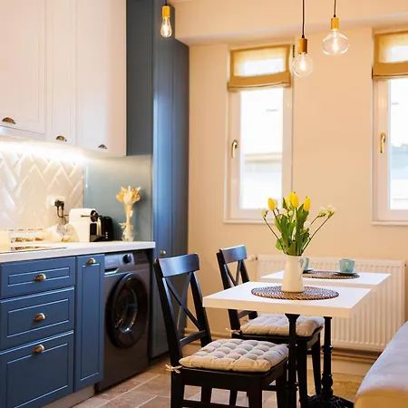 Διαμέρισμα Stunning 2br Old View Τιμισοάρα