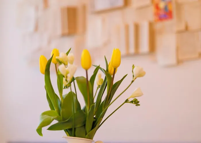 Stunning 2br Old View Apartament