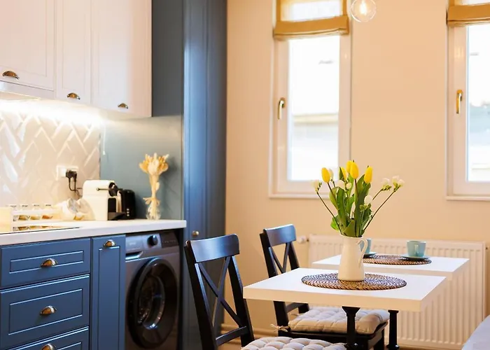 Apartament Stunning 2br Old View Timişoara