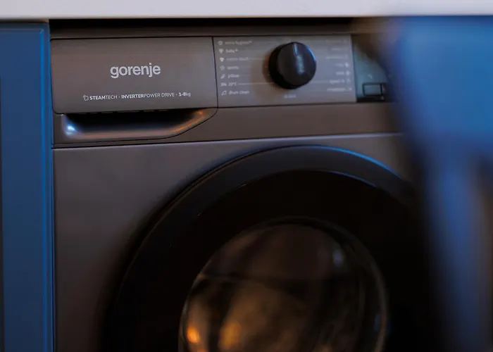 Stunning 2br Old View Timişoara