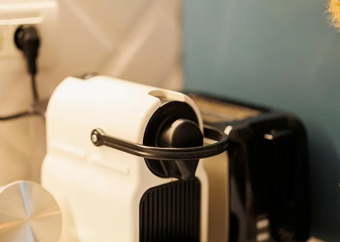 Stunning 2br Old View * Timişoara