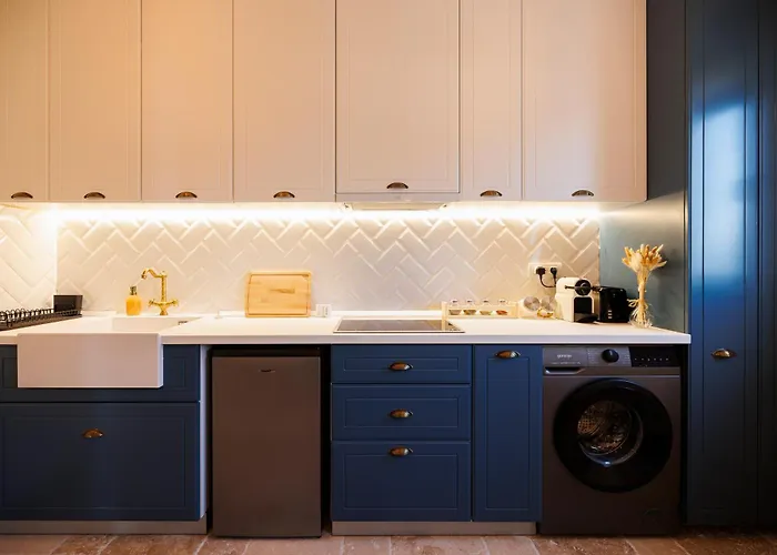 Lägenhet Stunning 2br Old View Timişoara