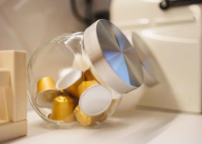 Stunning 2br Old View * Timişoara